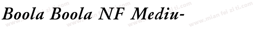 Boola Boola NF Mediu字体转换